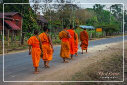 Alms to the Monks, Don Khong Island (158)