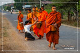 Don Khong Island (159) Alms to the Monks