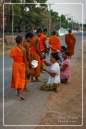 Isla Don Khong (167) Limosnas a los monjes