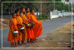 Isla Don Khong (170) Limosnas a los monjes