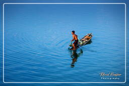 Don Khong Island (260) Fishing on the Mekong