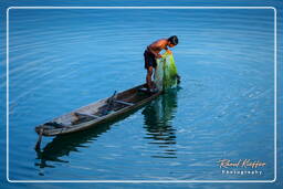 Isola di Don Khong (297) Pesca sul Mekong