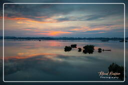 Isla Don Khong (475) Río Mekong