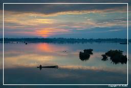 Isla Don Khong (487) Río Mekong