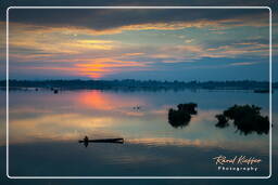 Mekong, Don Khong Island (487)