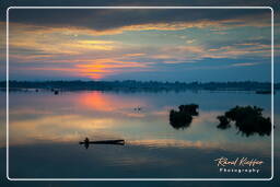 Isola di Don Khong (487) Mekong