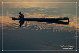 Isola di Don Khong (491) Pesca sul Mekong