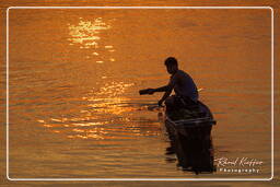 Isola di Don Khong (502) Pesca sul Mekong