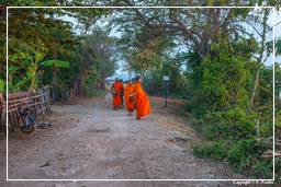 Ilha Don Khong (533) Esmolas para os monges