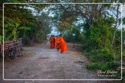 Île de Don Khong (533) Aumône aux moines