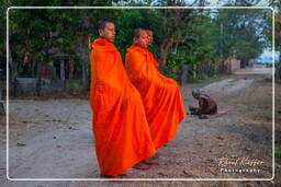 Alms to the Monks, Don Khong Island (535)