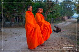 Isla Don Khong (535) Limosnas a los monjes