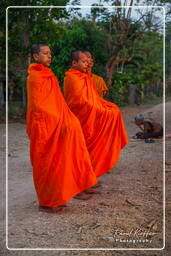 Don Khong Island (537) Alms to the Monks