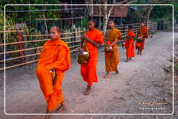 Alms to the Monks, Don Khong Island (540)