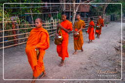 Isla Don Khong (540) Limosnas a los monjes