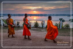 Isla Don Khong (542) Limosnas a los monjes