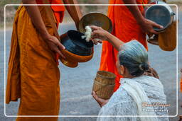 Isla Don Khong (549) Limosnas a los monjes