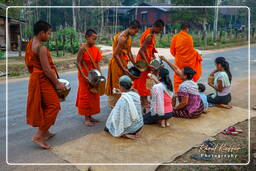 Isla Don Khong (551) Limosnas a los monjes