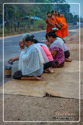 Alms to the Monks, Don Khong Island (558)