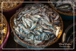Pakse Market, Pakse (22)