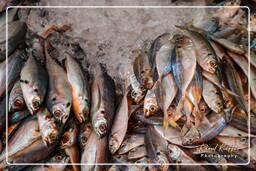 Pakse Market, Pakse (42)