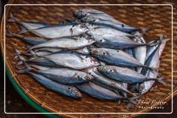 Pakse Market, Pakse (43)