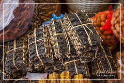 Pakse Market Grilled frogs, Pakse (49)