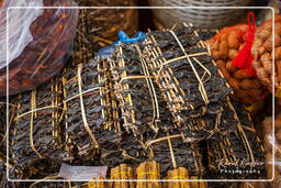 Pakse (49) Marché de Paksé Grenouilles grillées