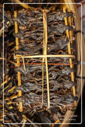 Pakse Market Grilled frogs, Pakse (50)