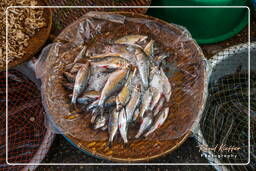 Pakse Market, Pakse (61)
