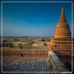 Birmanie (266) Bagan