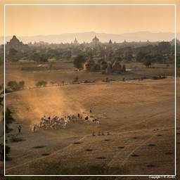 Birmanie (272) Bagan