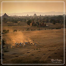 Myanmar (272) Bagan