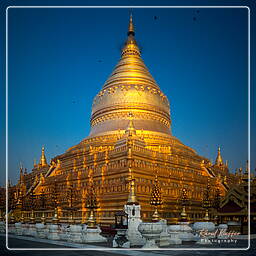 Birmania (283) Shwezigon