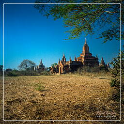 Bagan, Myanmar (316)