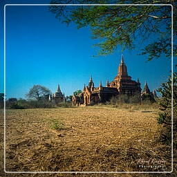 Birmanie (316) Bagan