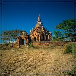 Birmania (317) Bagan