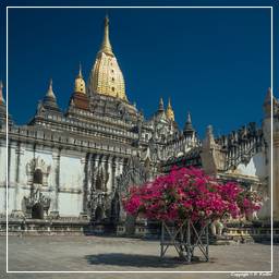 Myanmar (330) Ananda