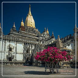 Ananda, Myanmar (330)