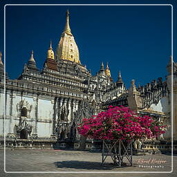 Myanmar (330) Ananda