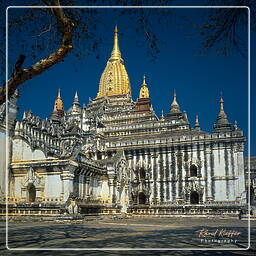 Ananda, Myanmar (333)