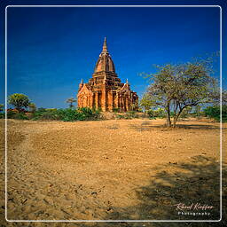 Birmanie (341) Bagan