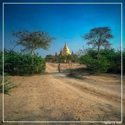 Birmanie (342) Bagan