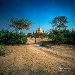 Birmanie (342) Bagan