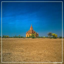 Birmanie (346) Bagan