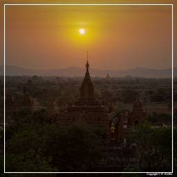 Birmanie (352) Bagan