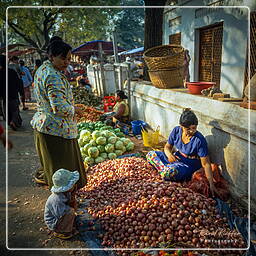 Bagan - Market, Myanmar (355)