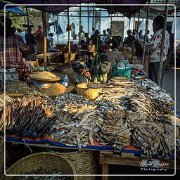 Myanmar (372) Bagan - Market