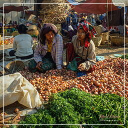 Myanmar (389) Bagan - Market