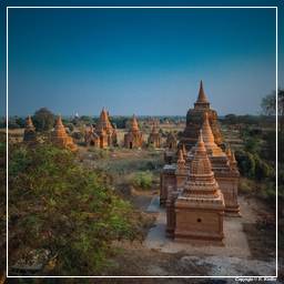 Birmanie (422) Bagan